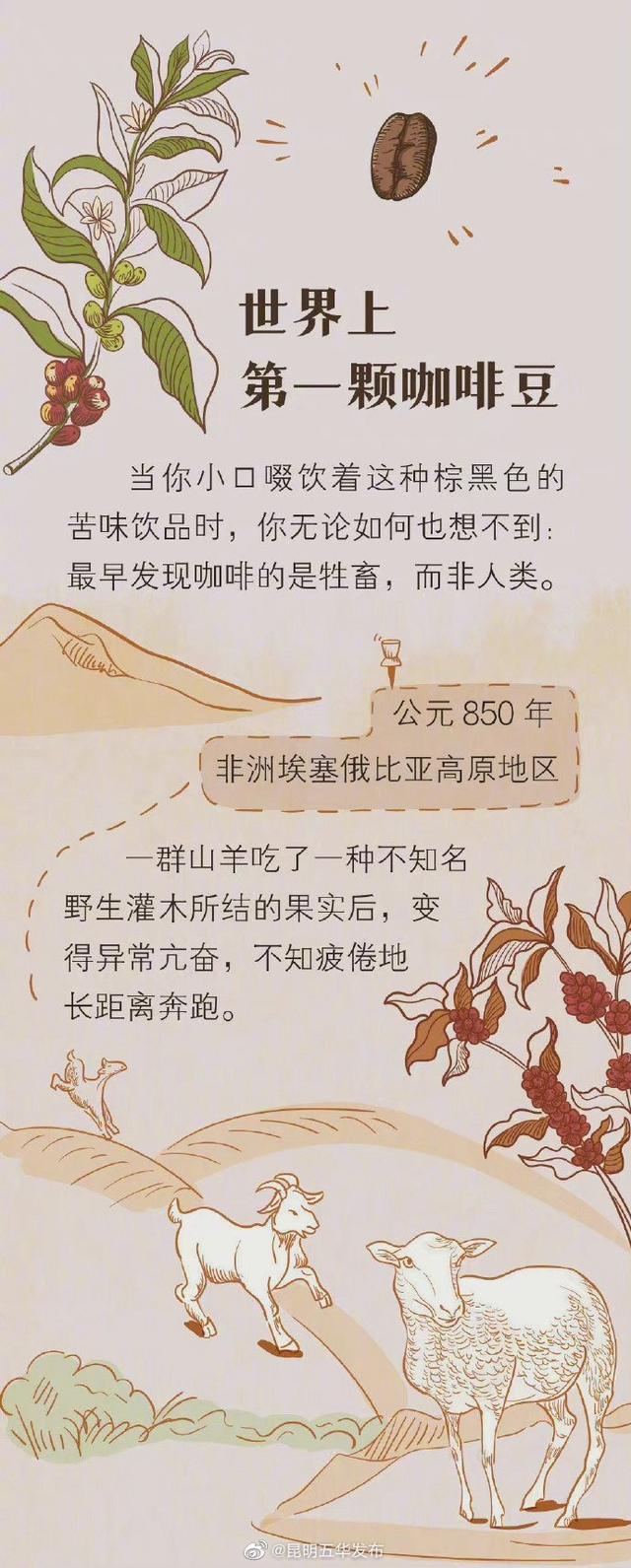 如何喝咖啡才能健康续命