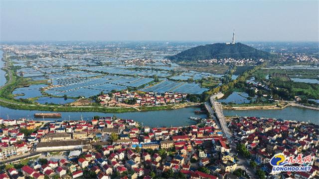 南京高淳固城街道 聚力乡村发展为乡村振兴注入新活力 Zh中文网