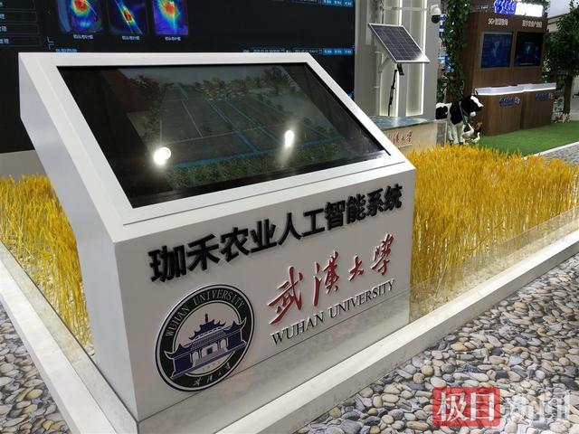 手机上就能种菜养鱼，一键看清村容村貌，来农博会上看看湖北的数字乡村建设