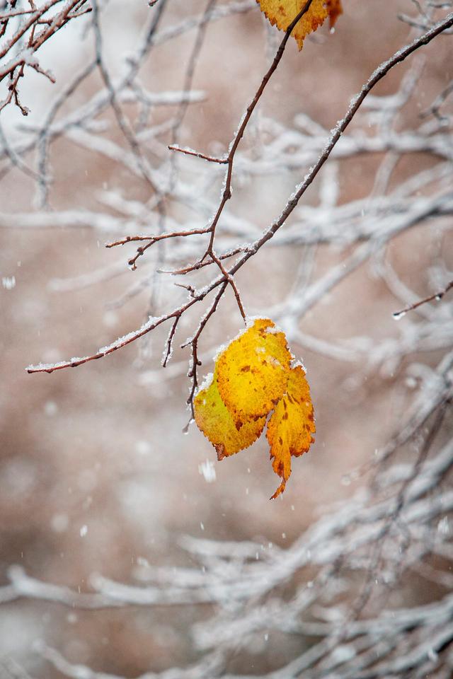 欧洲地区降雪- 全网搜