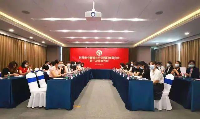 处处开花！这些新领域的妇联组织成立啦！