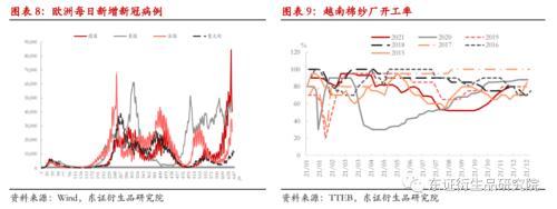 棉花：变异新冠病毒担忧情绪打破郑棉僵持局面