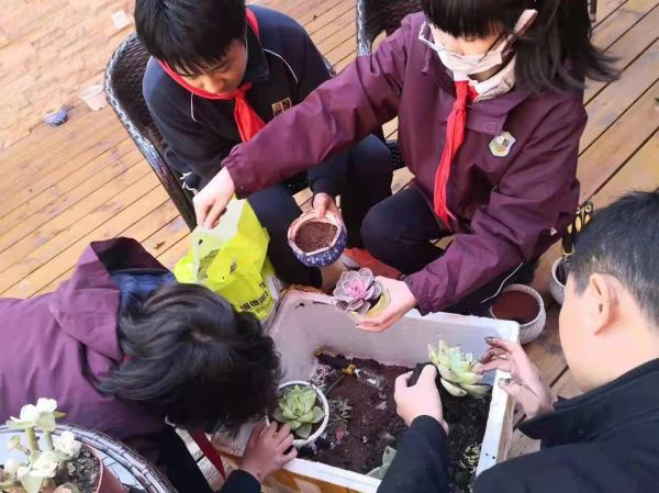 这群初中生开展“校园碳中和行动”，在屋顶种植园收获首批新能源培育绿色蔬菜