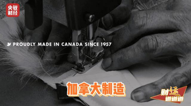 一地“鹅”毛！加拿大鹅市值一夜蒸发超3亿美元！加拿大鹅还能搭上中国市场快车吗？