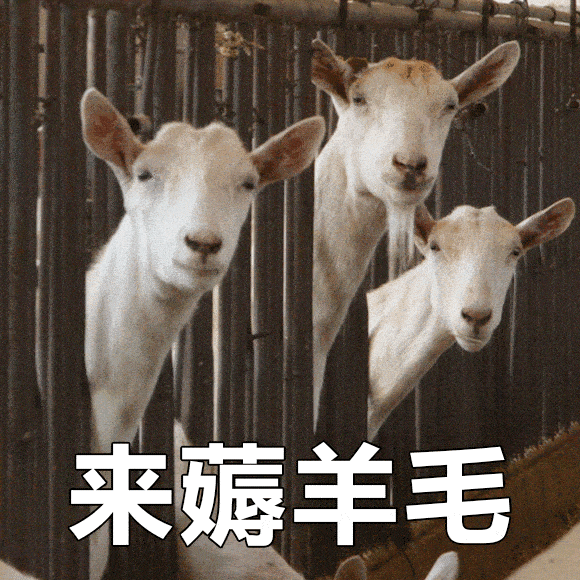 羊毛党最爱，小米10元以内好物推荐