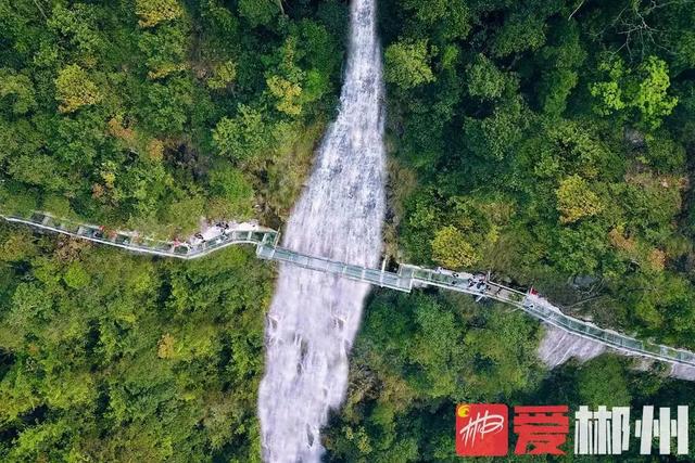 昨天我的家鄉郴州獲評2021中國·广东旅游总评榜年度最受欢迎国内旅游目的地