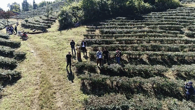 雲南這個目的地，憑啥又被老外盯上？