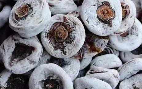 柿子通身都是宝 各个部位都可入药