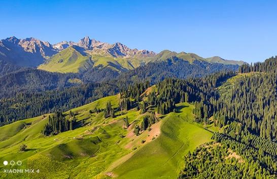 从Note到Mix 小米全系热门手机推荐