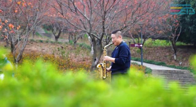 楓景如畫，湖南省植物園彩葉植物等你來觀賞