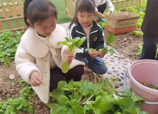 新华颍新幼儿园：与自然共融 向未来生长