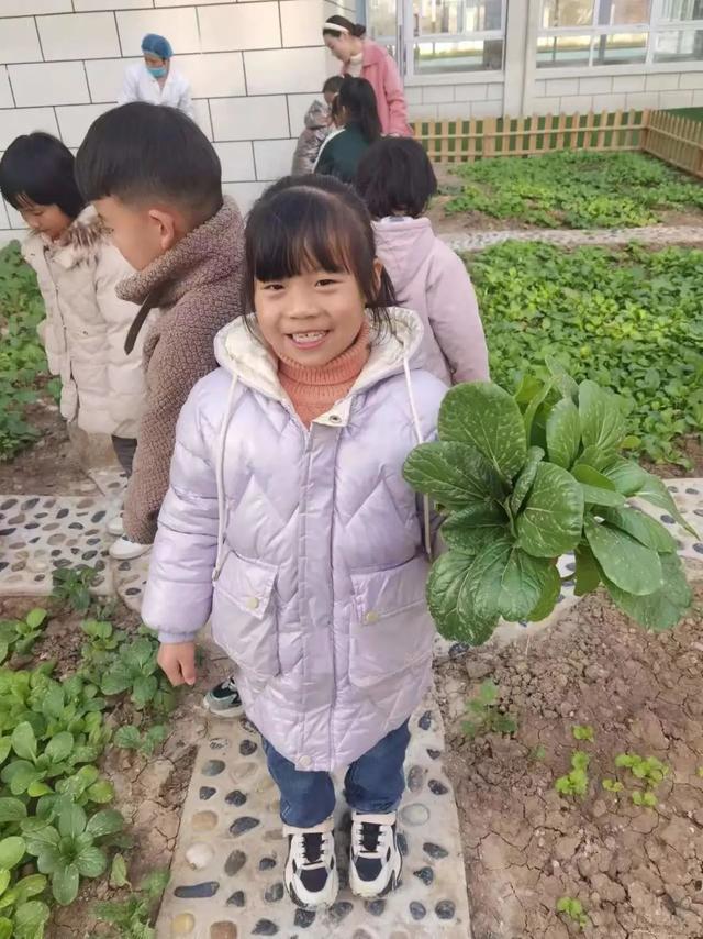 新华颍新幼儿园：与自然共融 向未来生长