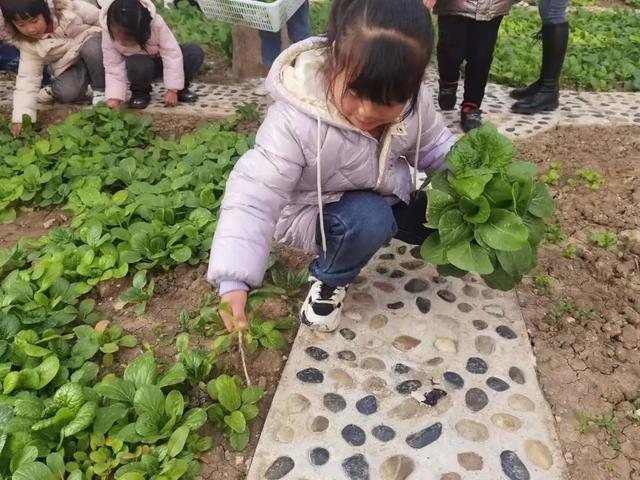 新华颍新幼儿园：与自然共融 向未来生长