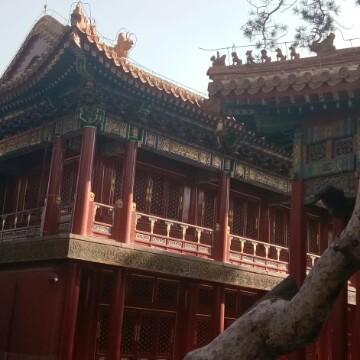斌说历史易经