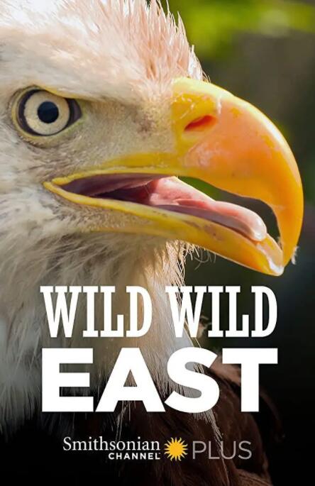 【英语中英字幕】动物世界纪录片：狂野东部 Wild Wild East (2016) 全14集 超清1080P图片 No.1