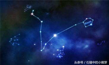 十二星座的日期集合，从此不再问别人自己是什么星座了