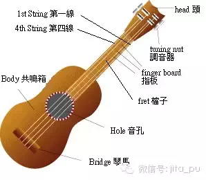 西部高科数字乐谱库：五分钟教你学会尤克里里