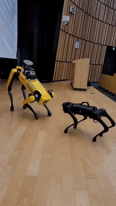 日本教授和机器狗的赛博朋克日常_图片 No.11