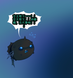 5.png