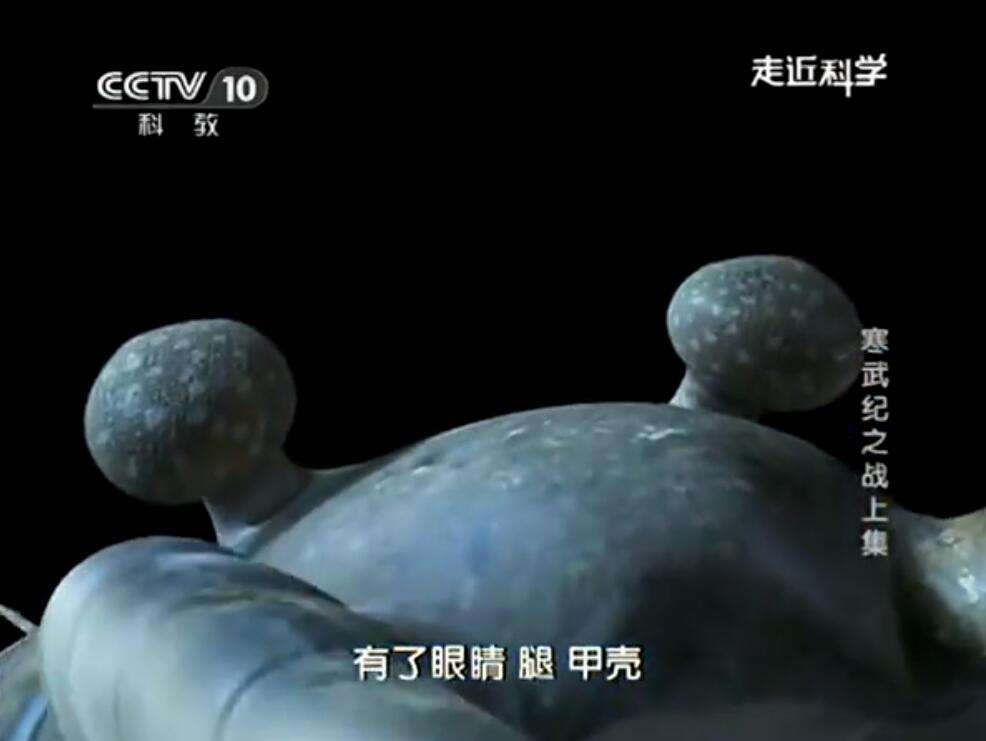 【国语中字】CCTV10走进科学：寒武纪之战（2013）【全1集】图片 No.2