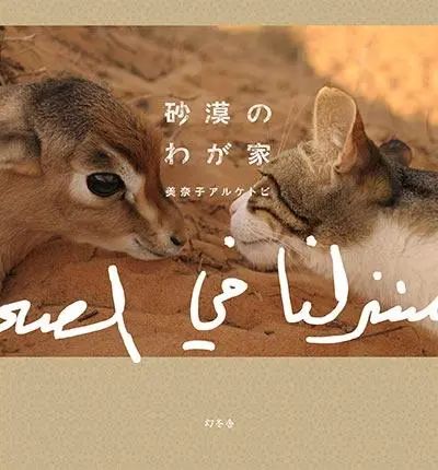 日本妹子嫁到阿联酋，在5万平米的沙漠“后院”里养猫养骆驼是怎样的体验？_图片 No.58