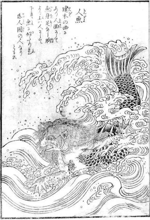 关于美人鱼，中国古代的鲛人很美好，但日本却是恐怖美人鱼_图片 No.4