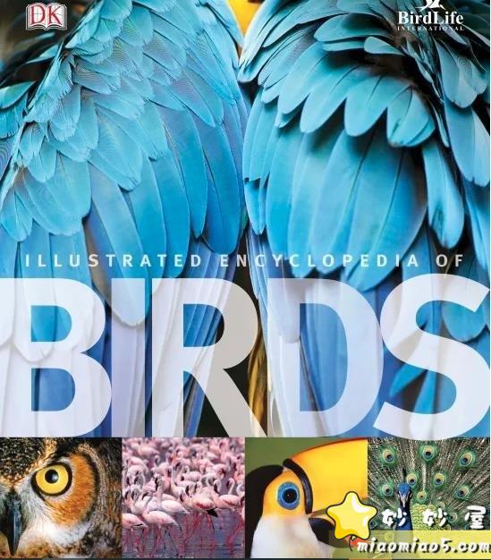 鸟类百科全书 DK Illustrated encyclopedia of birds 电子书PDF 高清下载图片 No.1