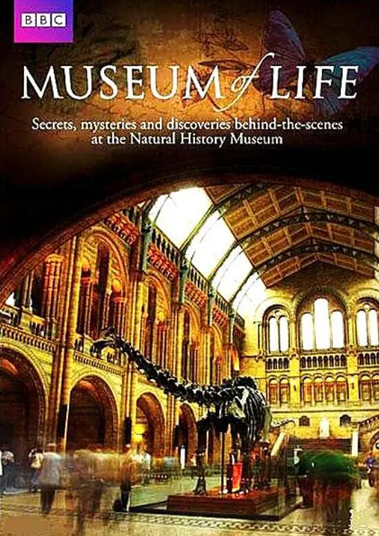 【英语中英字幕】BBC纪录片-生命博物馆 Museum Of Life (2010) 全1集 高清720P图片