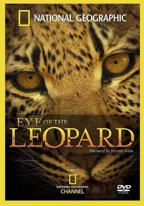 【英语中字】动物世界纪录片-国家地理：豹的眼睛 National Geographic: Eye of the Leopard (2006) 全1集 高清720P图片 No.1