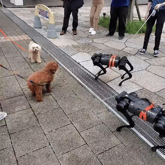 日本教授和机器狗的赛博朋克日常_图片 No.9
