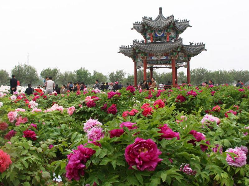 菏泽景点菏泽旅游景点大全