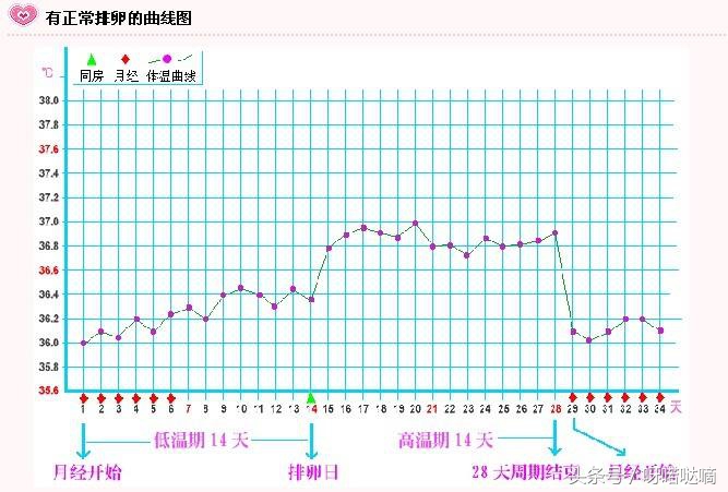 白带变得粘稠，能拉丝很长是不是排卵了？还在正准备排卵呢？