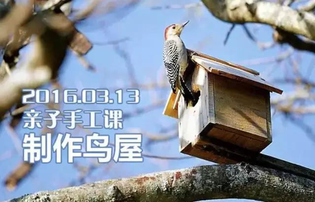 3月10日-3月17日 成都活动精选
