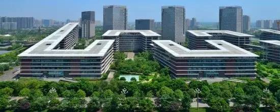 点赞丨外媒：成都，大熊猫的故乡，一直致力于改善其生态环境