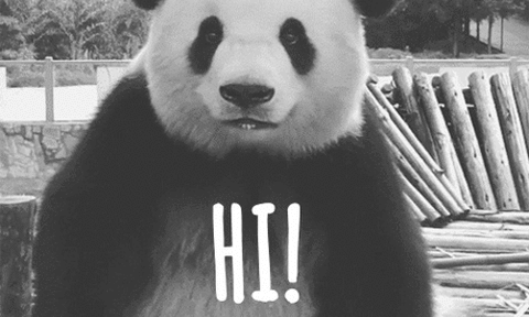 点赞丨外媒：成都，大熊猫的故乡，一直致力于改善其生态环境
