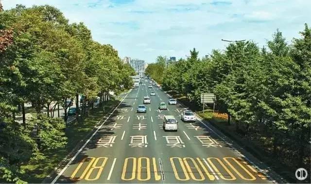 点赞丨外媒：成都，大熊猫的故乡，一直致力于改善其生态环境