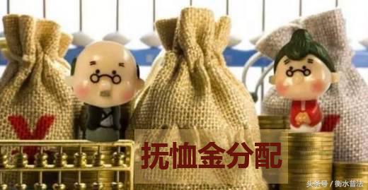 抚恤金分配法律规定如何？