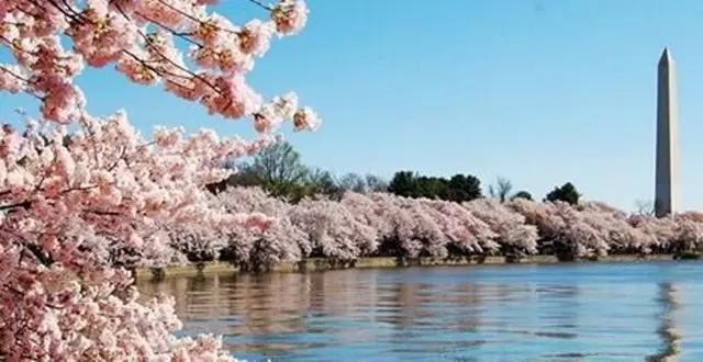 3月10日-3月17日 成都活动精选