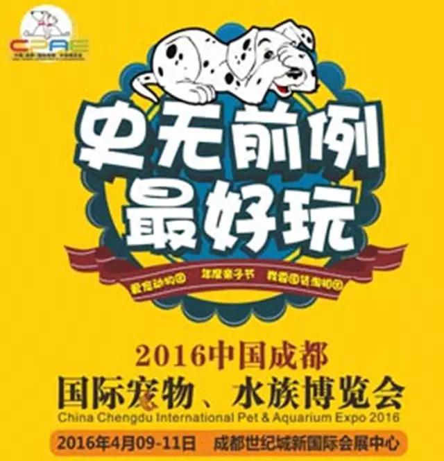 3月10日-3月17日 成都活动精选