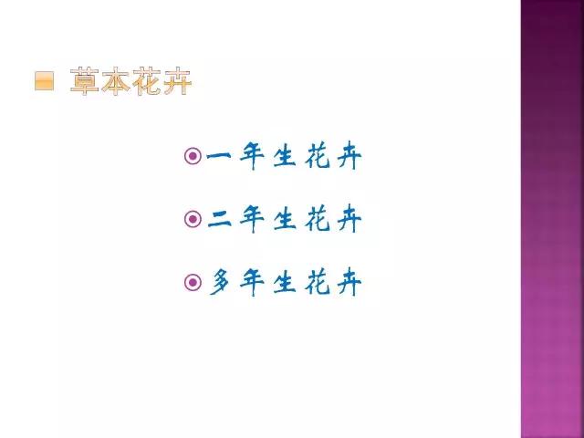 春夏秋冬，四季的开花花卉终于找全了