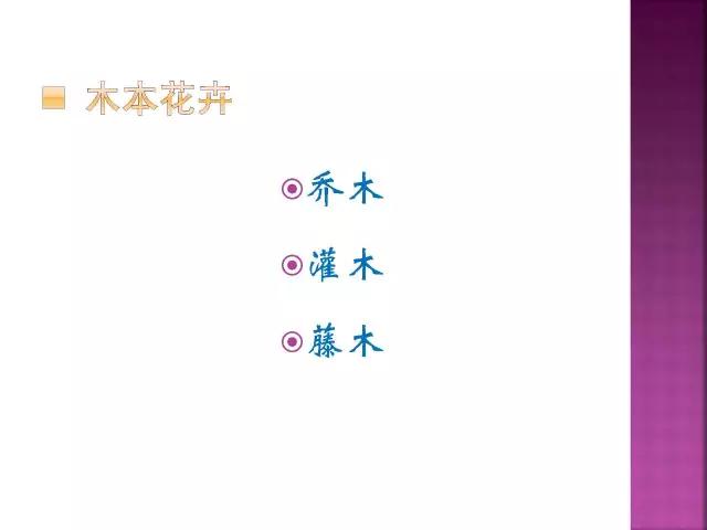 春夏秋冬，四季的开花花卉终于找全了