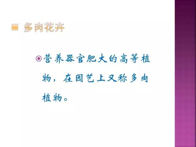 春夏秋冬，四季的开花花卉终于找全了