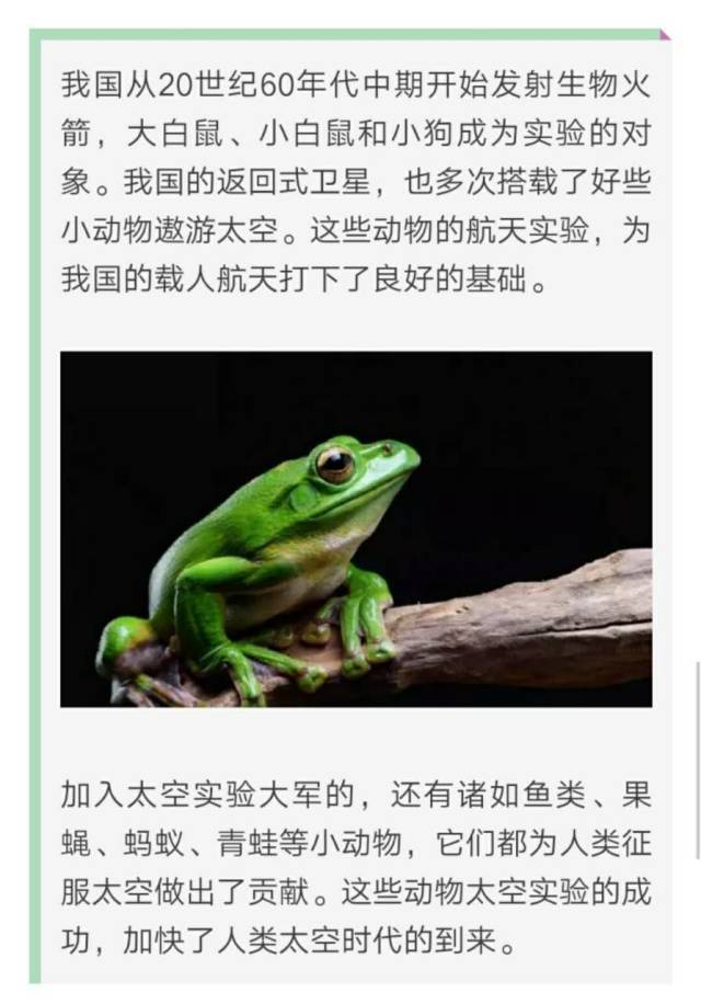 比人类更早进入太空竟然是它！不知道就out了