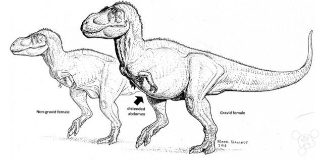 怀孕的霸王龙？单单想象一下感觉都要醉了