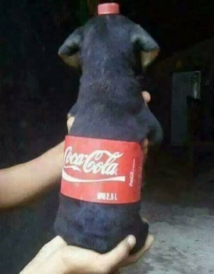 冰阔落是什么梗 大哥喝冰阔落什么意思