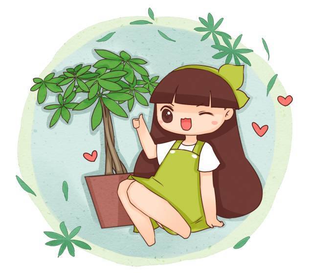 文竹、绿萝冬天这样养，叶子一片不发黄，再冷也冻不死