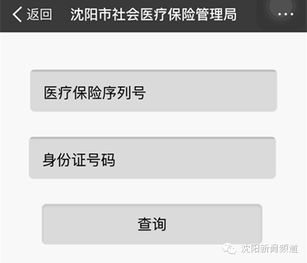 沈阳开通支付宝"城市服务"，15项便民功能和你有关！