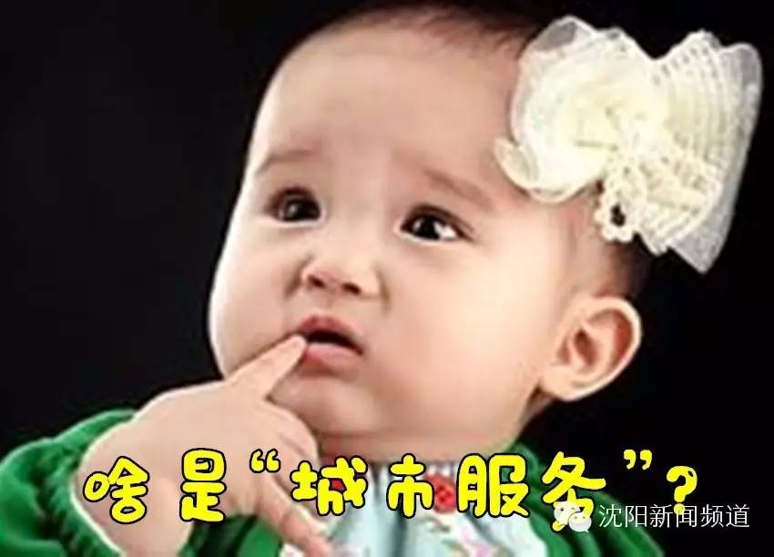 沈阳开通支付宝"城市服务"，15项便民功能和你有关！