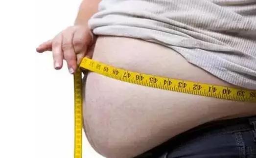 內髒脂肪到底是什麼？應該怎麼減？