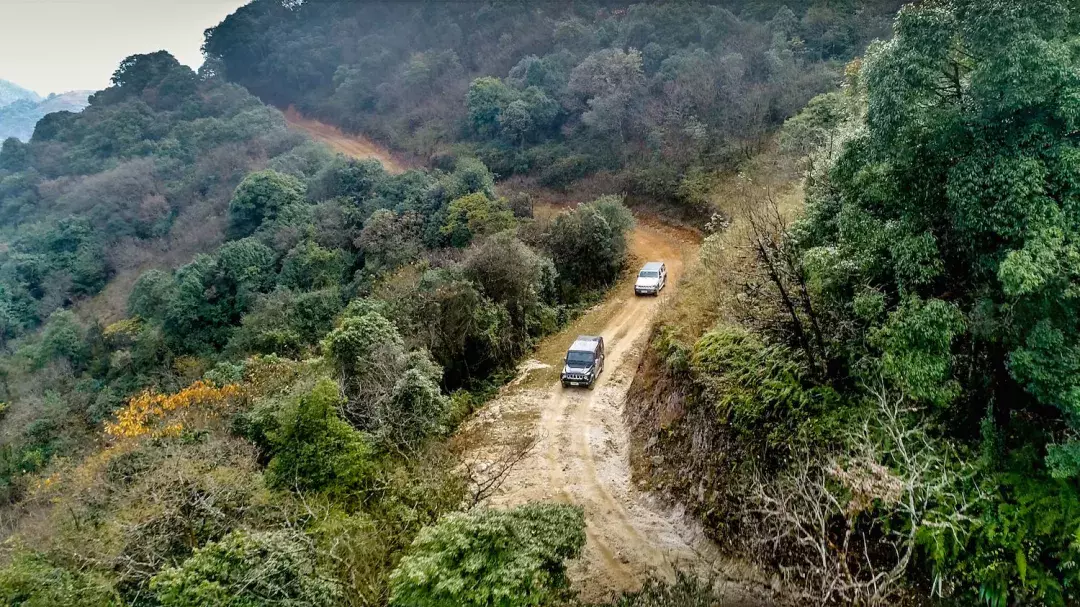 使命召唤II 雨林任务｜你不可不知的丛林穿越技巧